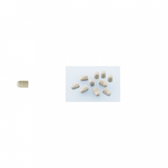 Tip Cap - крышка насадки для G21/G22 (10шт.)
